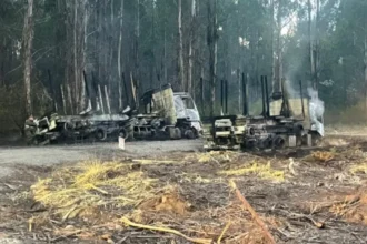 Ataque incendiario deja 4 vehículos quemados en La Araucanía