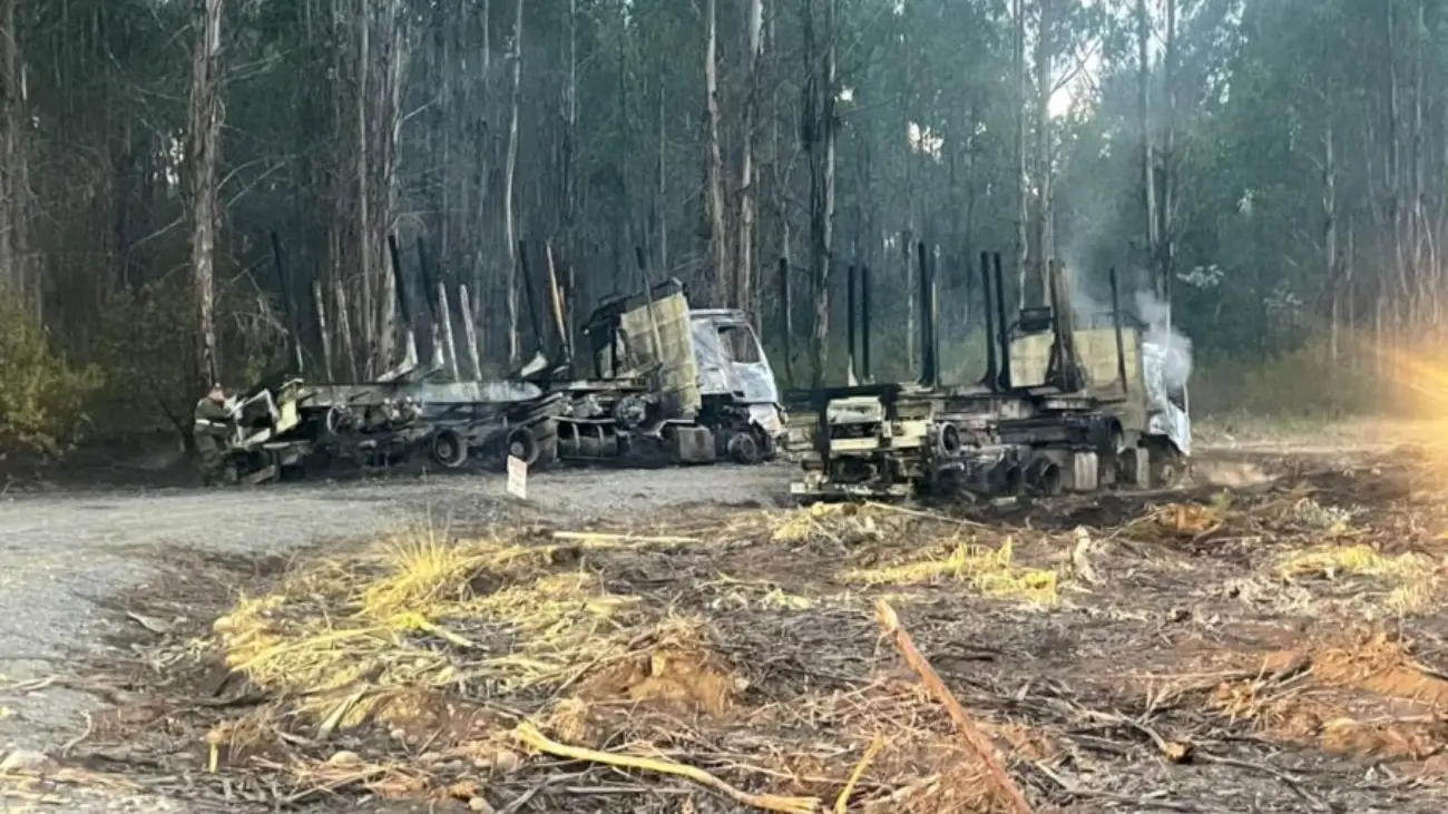 Ataque incendiario deja 4 vehículos quemados en La Araucanía