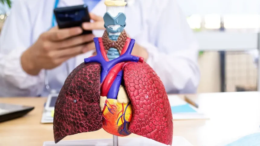 Alerta por aumento de virus respiratorios y baja vacunación en La Araucanía