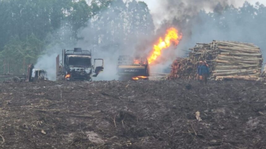 Ataque incendiario en La Araucanía: empresa busca reconstruir tras devastador incidente