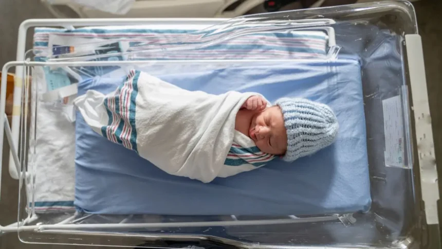 Preocupante tendencia a la baja en la fecundidad en Chile