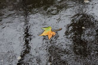 Lluvias en Chile: Pronóstico del viernes 2 de mayo por regiones