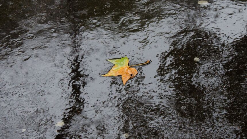 Lluvias en Chile: Pronóstico del viernes 2 de mayo por regiones