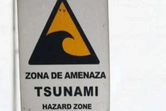Sismo de magnitud 7,5 sacude el sur de Chile: alerta de tsunami
