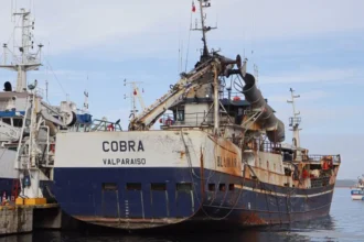 Peritajes en lancha Bruma: investigan posible colisión con embarcación Cobra