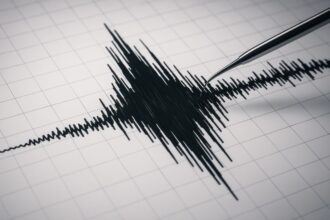 Alerta de tsunami en Chile: evacuación en Magallanes y horarios de llegada