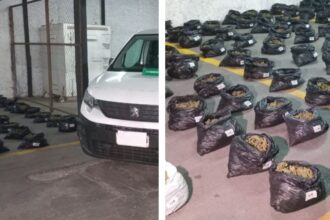 Detenidos en Santiago Centro con 110 kilos de droga ilegal