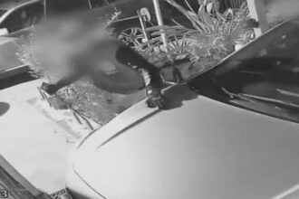 Dueño de casa en Maipú frustra robo baleando a delincuente