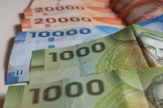 Aumento gradual de la Pensión Garantizada Universal para adultos en Chile