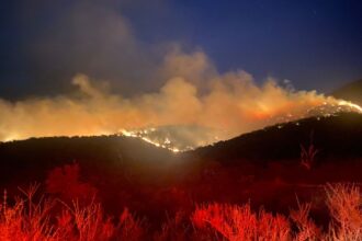 Incendio forestal en María Pinto provoca Alerta Amarilla y movilización urgente