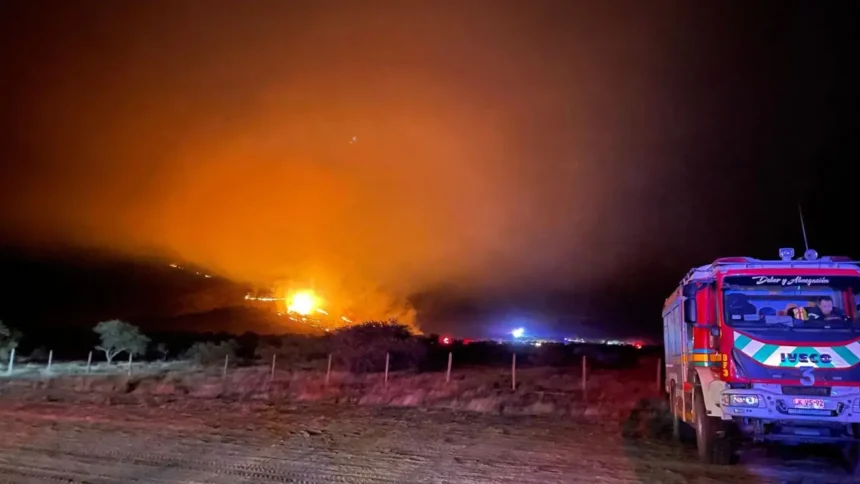 Incendio forestal en María Pinto y Melipilla afecta Santiago: Alerta Amarilla