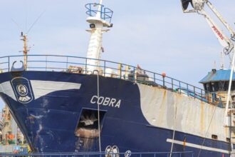 Hallan posibles restos humanos en el barco Cobra de Blumar