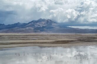 Consejo de Defensa del Estado rechaza segunda propuesta de Quiborax en juicio por daño ambiental en Salar de Surire