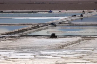 Extracción Directa de Litio: Avance clave para procesos sustentables según consultora especializada