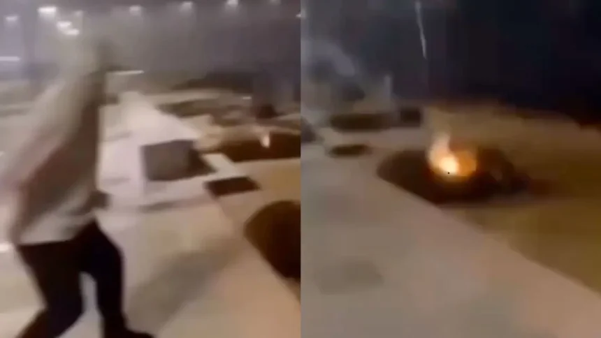 Investigan maltrato a lobos marinos con fuegos artificiales en Valdivia, Chile