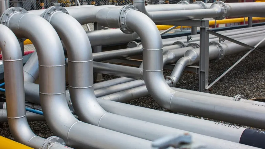 Gas licuado: clave en la seguridad energética de Chile según experta en Expomin 2025