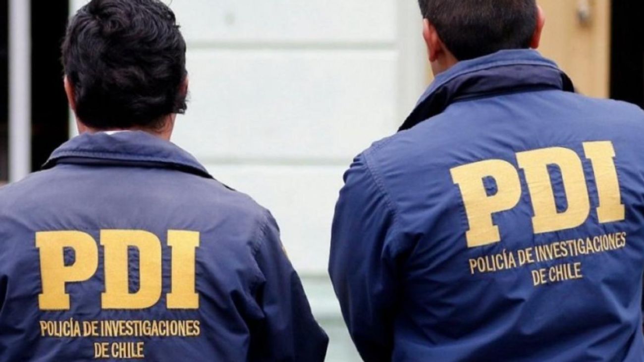 Denuncian venta de perros faenados en Antofagasta: conmoción en redes