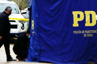 Macabro hallazgo en Lumaco: cuerpo devorado por perros descubierto en Rucatraro