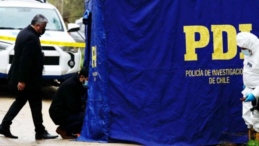 Macabro hallazgo en Lumaco: cuerpo devorado por perros descubierto en Rucatraro