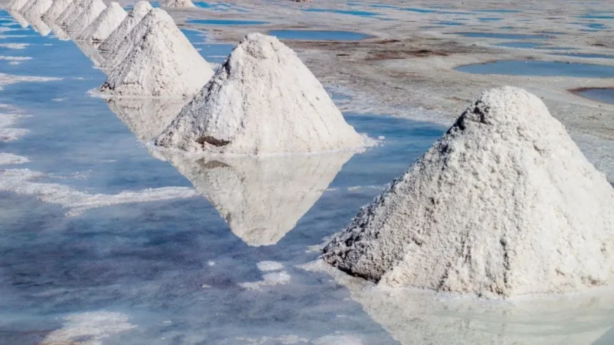 Corfo asegura duplicar producción de litio en Chile en próxima década