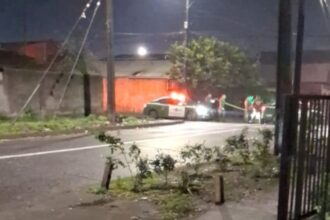 Hallan feto en calle de Los Ángeles: investigan presunto delito de aborto