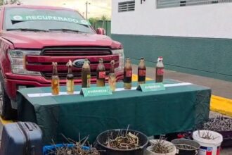 Detenidos con bombas molotov y miguelitos en lujosa camioneta sin patente