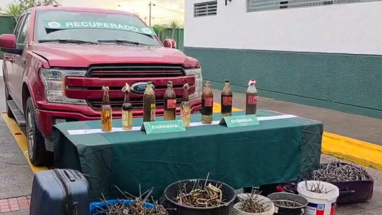 Detenidos con bombas molotov y miguelitos en lujosa camioneta sin patente Detenidos con bombas molotov y miguelitos en lujosa camioneta sin patente