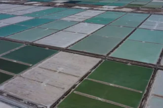 Sernageomin lanza Plataforma Pública de Salares y Litio con datos geológicos y acceso gratuito