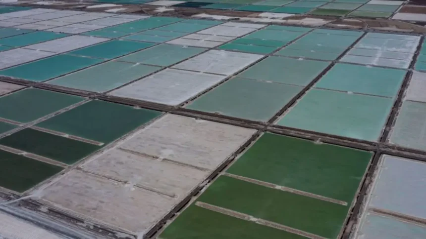 Sernageomin lanza Plataforma Pública de Salares y Litio con datos geológicos y acceso gratuito