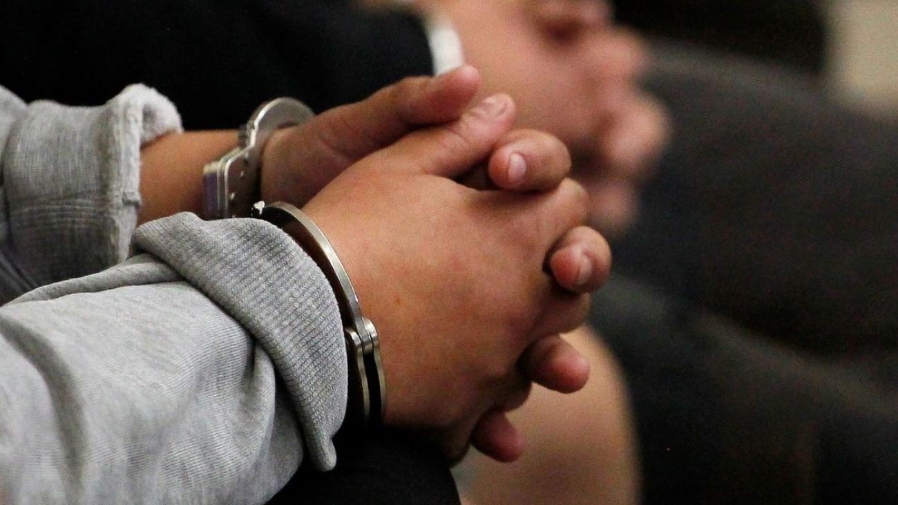Condenan a hombre por matar a su perro a martillazos Condenan a hombre por matar a su perro a martillazos