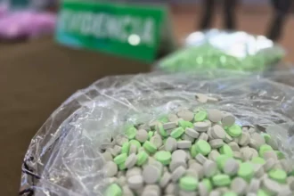 Desarticulan red de traficantes de drogas sintéticas en Concepción, Chile