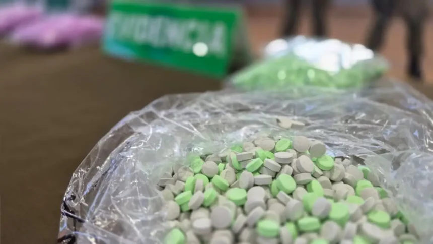 Desarticulan red de traficantes de drogas sintéticas en Concepción, Chile