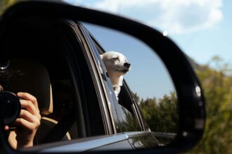 Nuevo requisito para la revisión técnica vehicular en Chile: grabado de patente