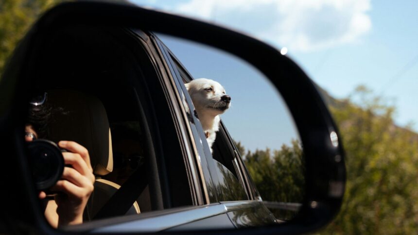 Nuevo requisito para la revisión técnica vehicular en Chile: grabado de patente