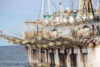 Embarcaciones chinas esperan reparaciones en Punta Tumbes, sin faenas de pesca