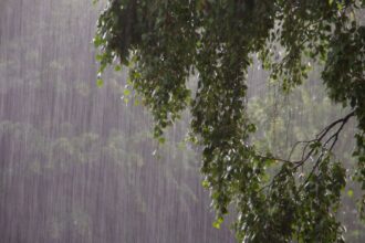 Alerta Meteorológica: Lluvias y Río Atmosférico en Chile esta Semana