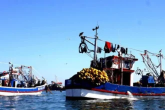 Alerta en Talcahuano por Ley de Fraccionamiento Pesquero: miles de empleos en riesgo