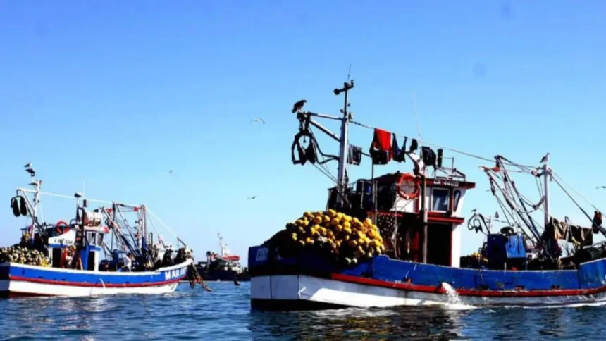 Alerta en Talcahuano por Ley de Fraccionamiento Pesquero: miles de empleos en riesgo