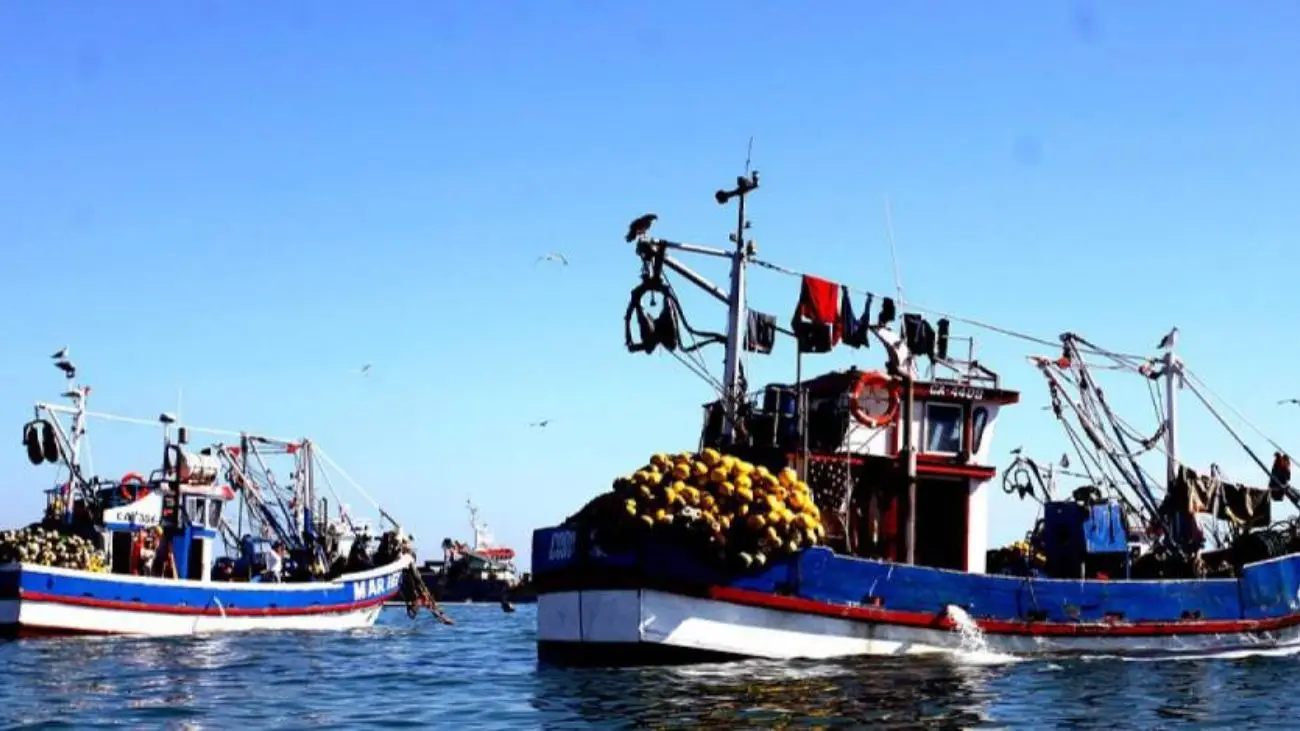 Alerta en Talcahuano por Ley de Fraccionamiento Pesquero: miles de empleos en riesgo Alerta en Talcahuano por Ley de Fraccionamiento Pesquero: miles de empleos en riesgo