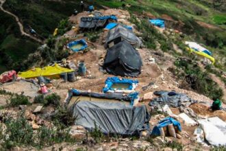Legisladores peruanos exigen acción contra minería ilegal en Pataz