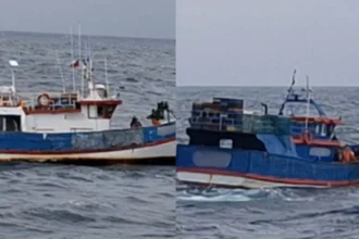 Embarcaciones de pesca ilegal de reineta descubiertas en Los Ríos