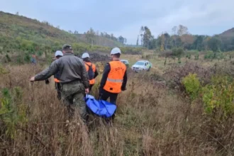 Hallan sin vida a Celestino Badilla Gutiérrez en Curacautín, La Araucanía