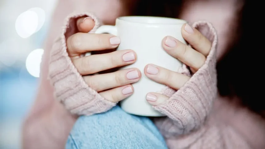 Preparación para el invierno 2025 en Chile: Temor por falta de preparación