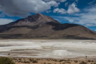 Revisión de suspensión de faenas en Salar de Surire: Primer Tribunal Ambiental decide el futuro de Quiborax en demanda por daño ambiental