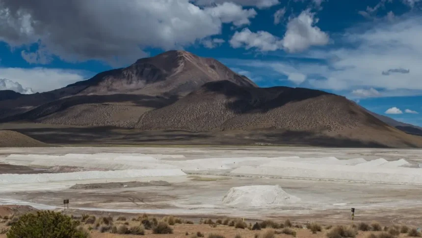 Revisión de suspensión de faenas en Salar de Surire: Primer Tribunal Ambiental decide el futuro de Quiborax en demanda por daño ambiental