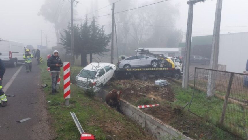 Grave accidente múltiple en Ruta 5 Sur: Tres heridos en Linares