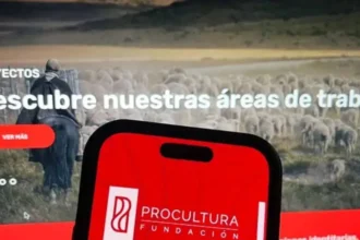 Trabajadores de ProCultura en Lota esperan solución legal en agosto