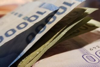 Descubre bonos y subsidios no cobrados: Consulta en IPS y BancoEstado