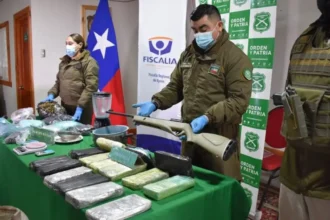 Incautación histórica en Aysén: desmantelan laboratorio y decomisan drogas valuadas en $475 millones