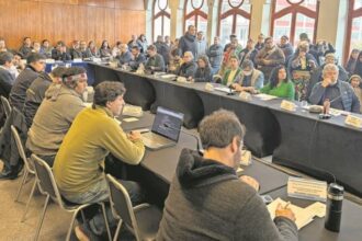 Rechazo a solicitud de comunidades mapuche en borde costero de Los Ríos